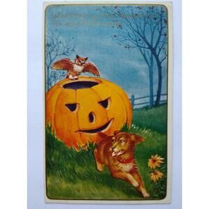 Whitney Halloween Postcard Dog Owl JOL Embossed Vintage Greetings Antique